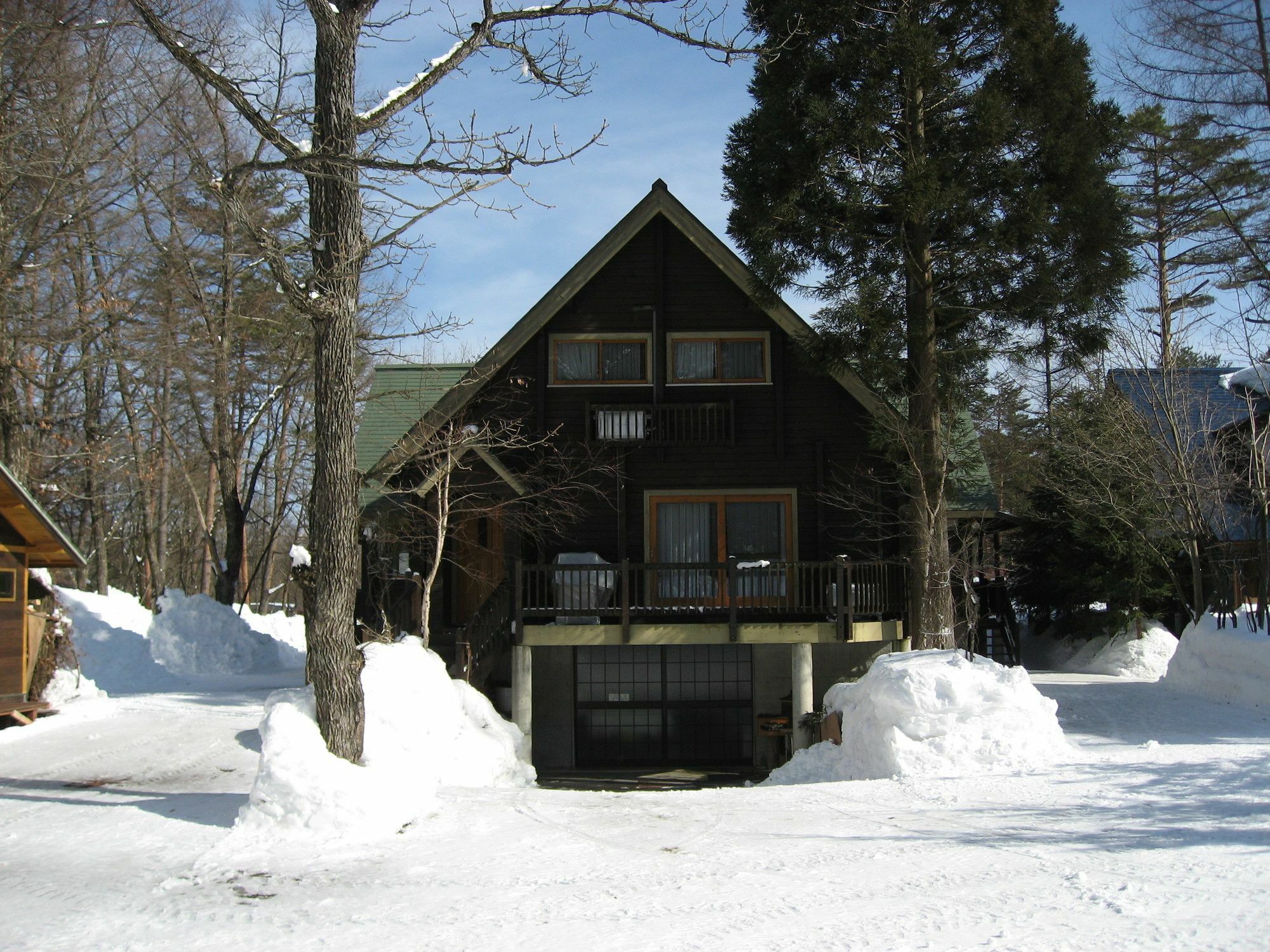 Вілла Hakuba Megeve Екстер'єр фото